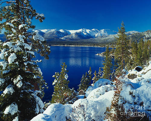 Wall Art - Photograph - Lake Tahoe Winter by Vance Fox