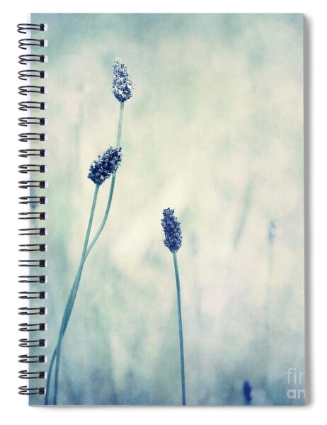 Endearing Spiral Notebook by Priska Wettstein