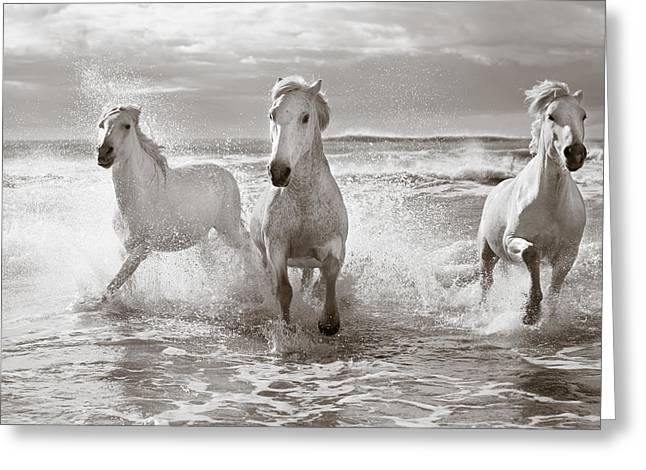 Run White Horses Ii Greeting Card