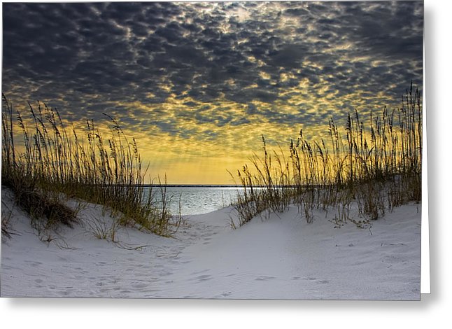 Sunlit Passage Greeting Card