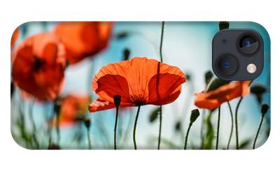 iPhone Case - Poppy Meadow by Nailia Schwarz