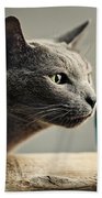 Cat and Pears Beach Towel by Nailia Schwarz