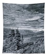 Land Shapes 18 Tapestry by Priska Wettstein