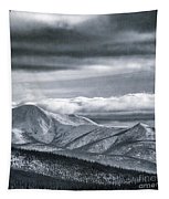 Land Shapes 4 Tapestry by Priska Wettstein