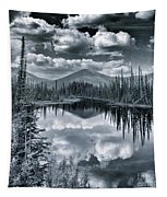 Landshapes 29 Tapestry by Priska Wettstein
