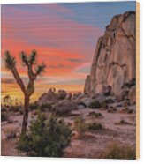 Joshua Tree Sunset Wood Print